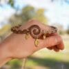 spiral choker