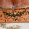 dragonfly choker dragonfly choker